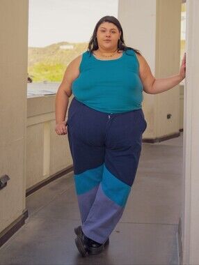 Big Bud Press Work Pants Blue Color Block High Rise Organic Cotton Elastic